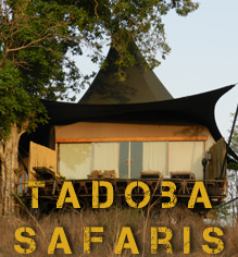 Tadoba National Park